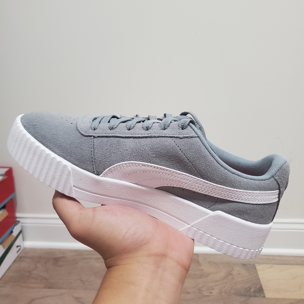 Puma carina